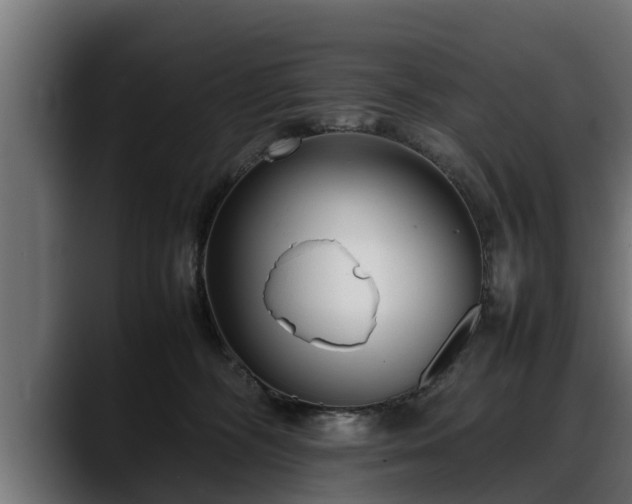 X0000088360326200705291312