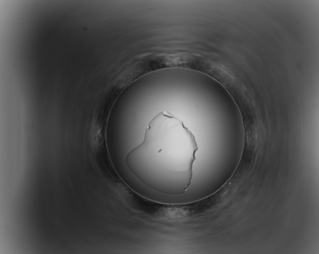 X0000088360327200705291312