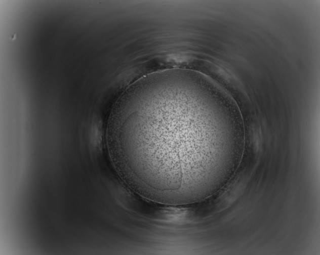 X0000088360328200705291312