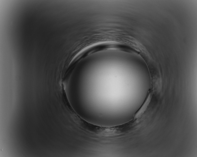 X0000088360329200705291312