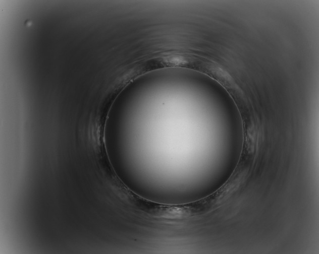 X0000088360330200705291312