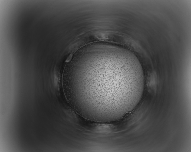 X0000088360332200705291312