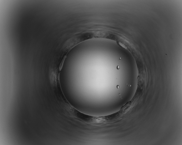 X0000088360333200705291312