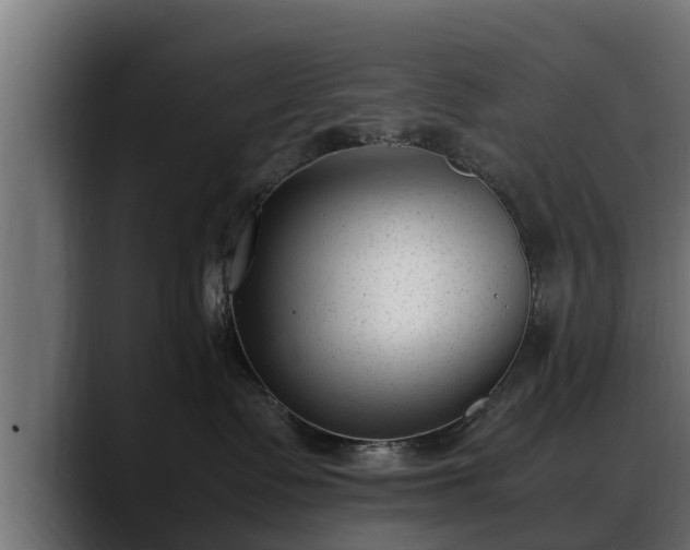 X0000088360335200705291312