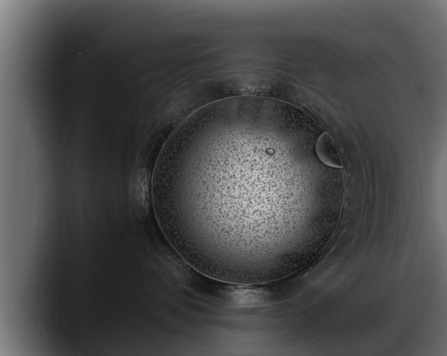 X0000088360336200705291312