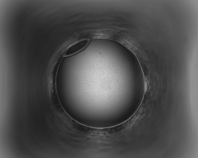 X0000088360339200705291312