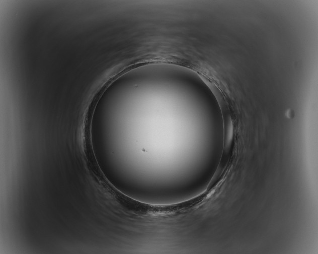 X0000088360340200705291312