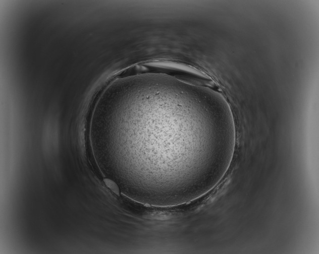 X0000088360341200705291312