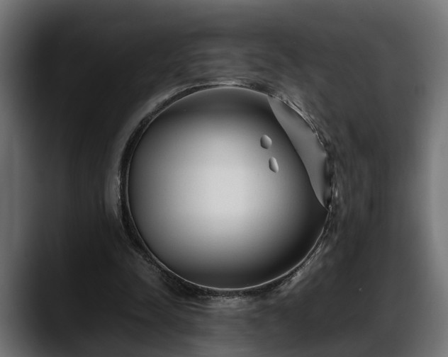 X0000088360342200705291312