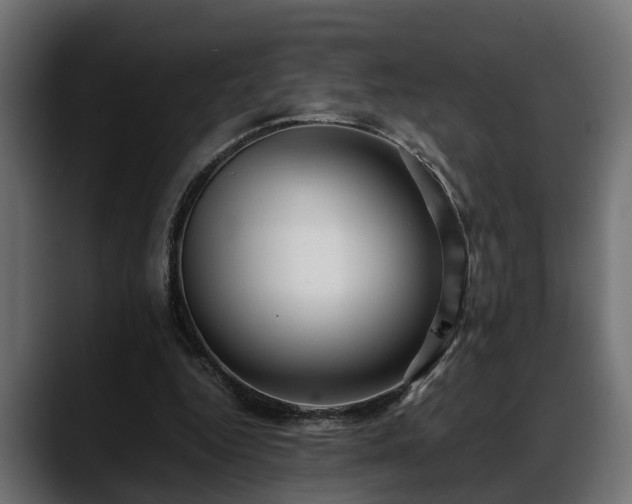 X0000088360344200705291312