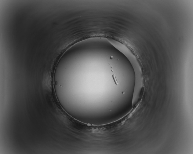 X0000088360345200705291312