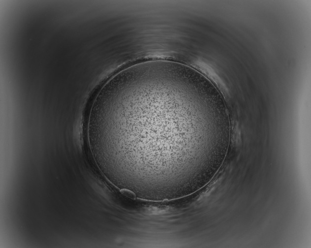 X0000088360346200705291312