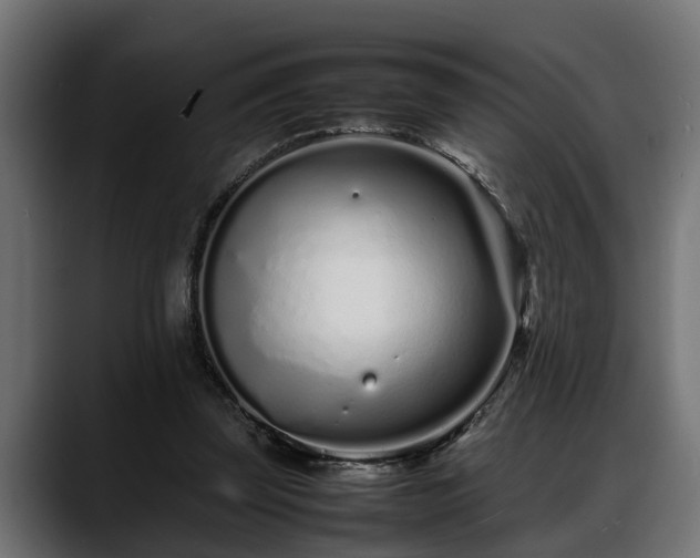 X0000088360347200705291312