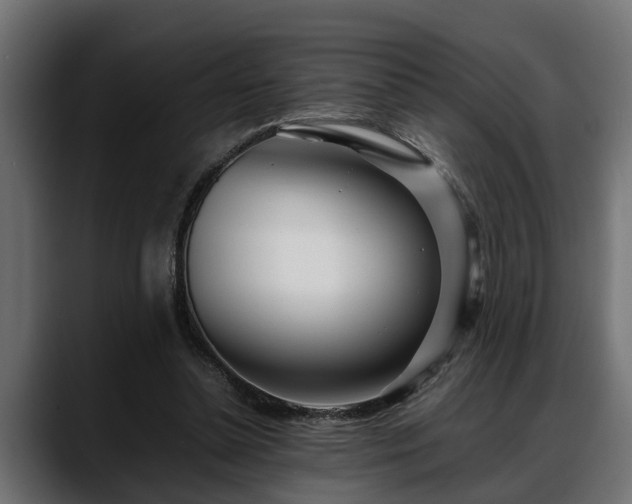 X0000088360348200705291312