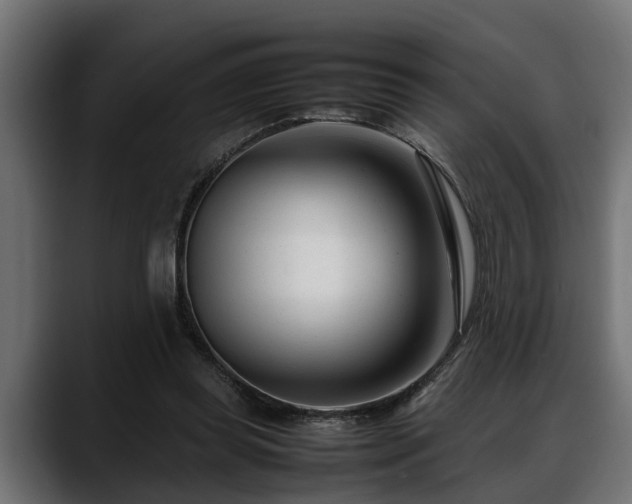 X0000088360349200705291312