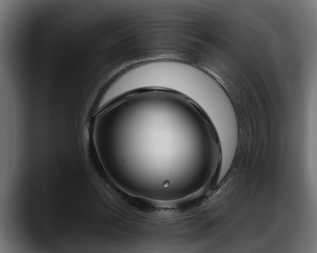 X0000088360350200705291312