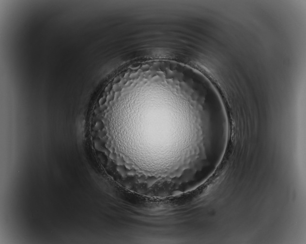 X0000088360351200705291312