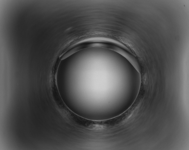 X0000088360352200705291312