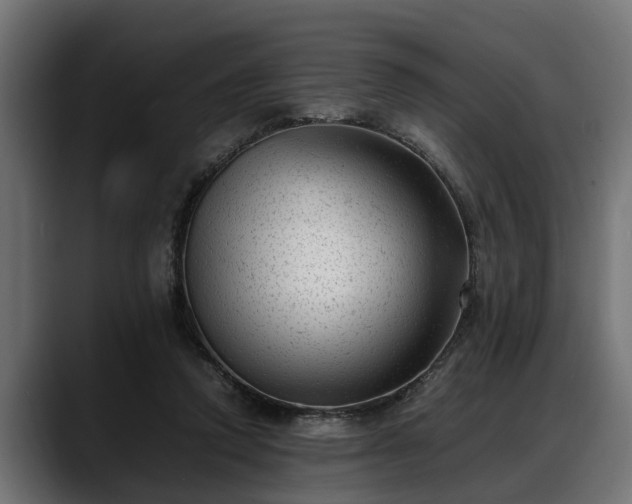 X0000088360354200705291312