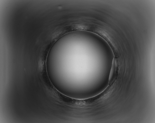 X0000088360355200705291312