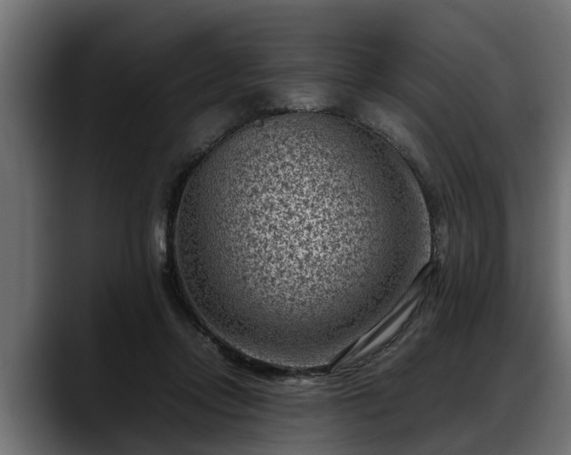 X0000088360358200705291312