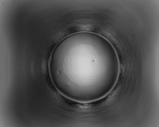 X0000088360359200705291312