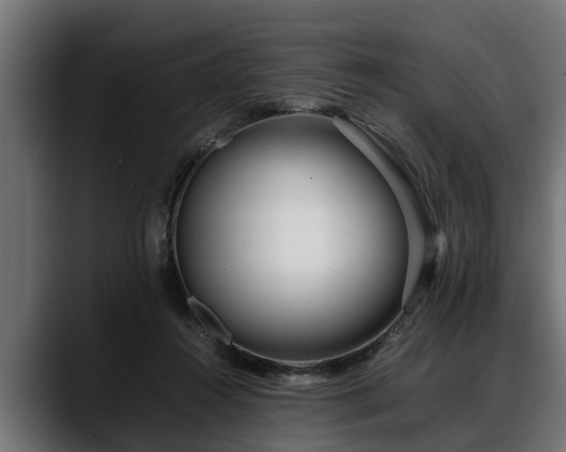 X0000088360360200705291312