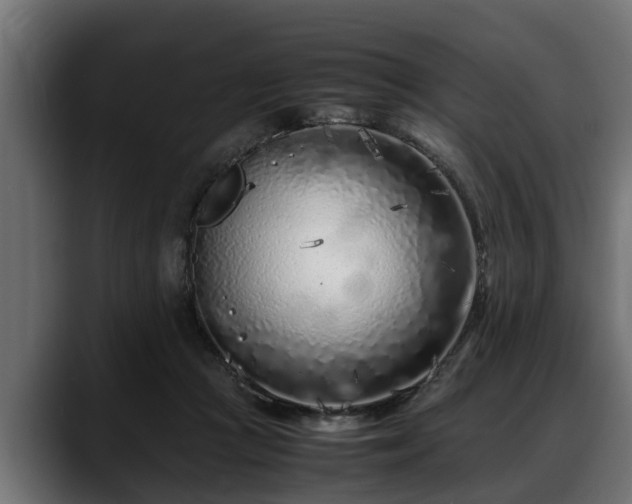 X0000088360361200705291312