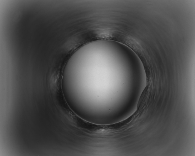 X0000088360364200705291312