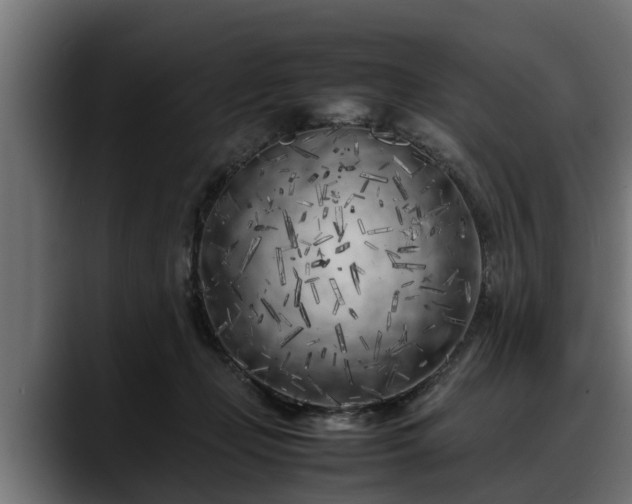 X0000088360365200705291312