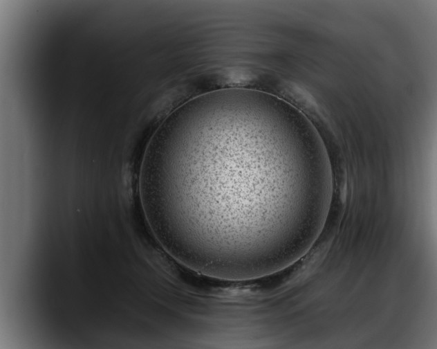 X0000088360366200705291312