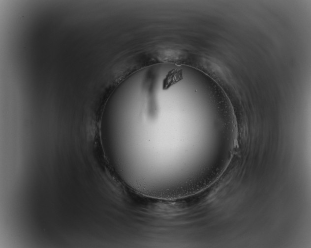 X0000088360367200705291312