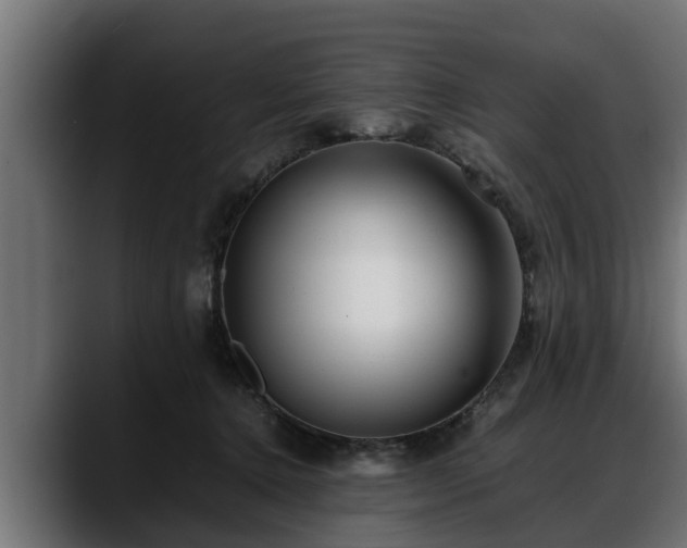 X0000088360368200705291312