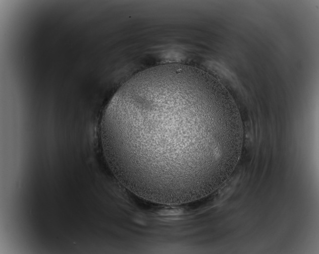 X0000088360369200705291312