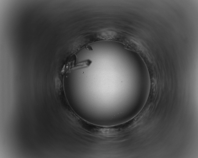X0000088360371200705291312