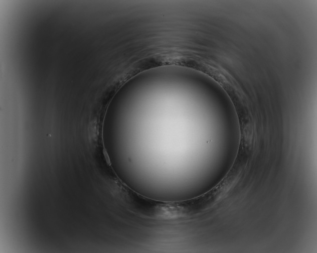 X0000088360372200705291312