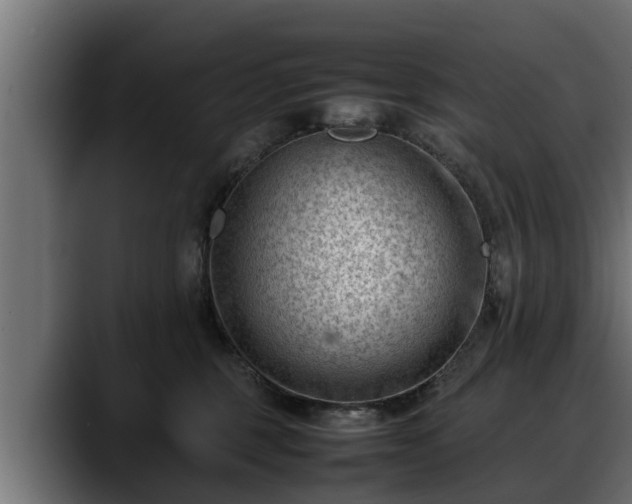 X0000088360375200705291312