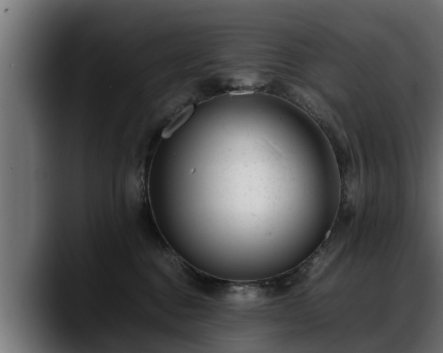 X0000088360376200705291312