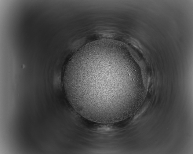 X0000088360377200705291312