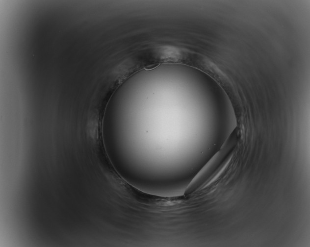 X0000088360379200705291312