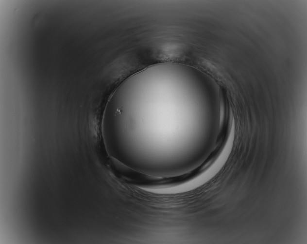 X0000088360380200705291312