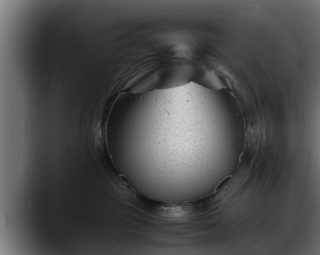 X0000088360381200705291312