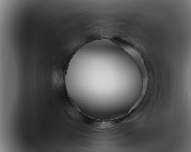 X0000088360384200705291312