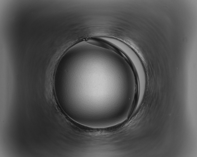 X0000088360385200705291312