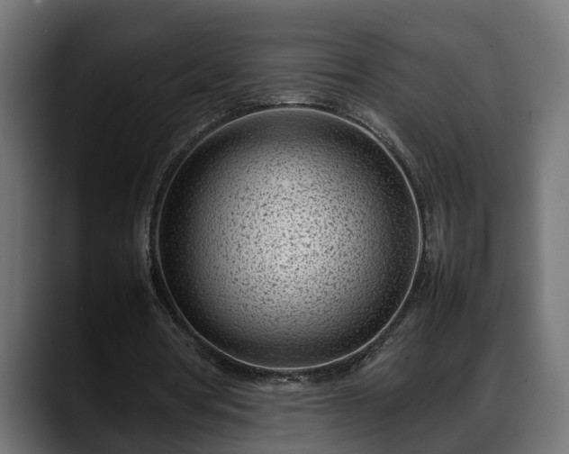 X0000088360386200705291312