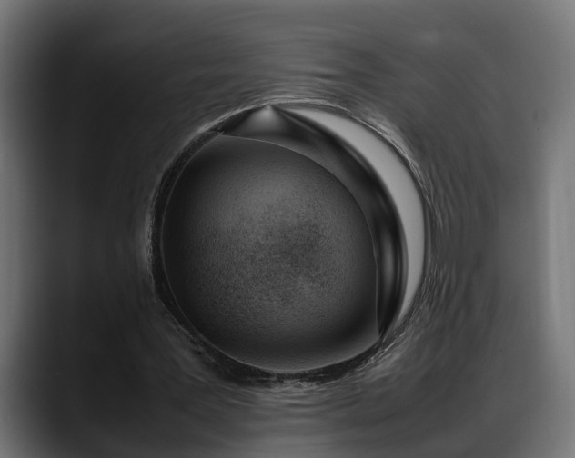 X0000088360387200705291312