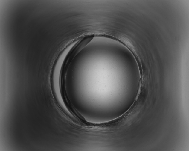 X0000088360389200705291311