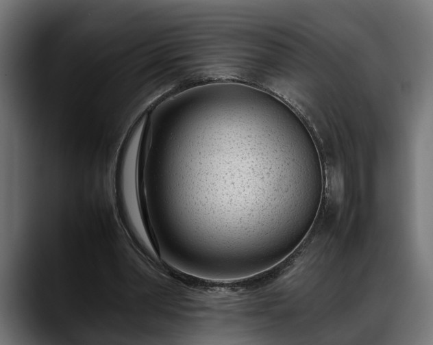 X0000088360390200705291311