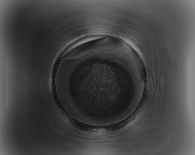 X0000088360391200705291311