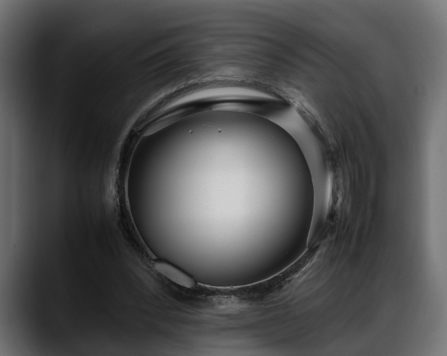 X0000088360392200705291311